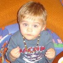 pavle1 pavle1